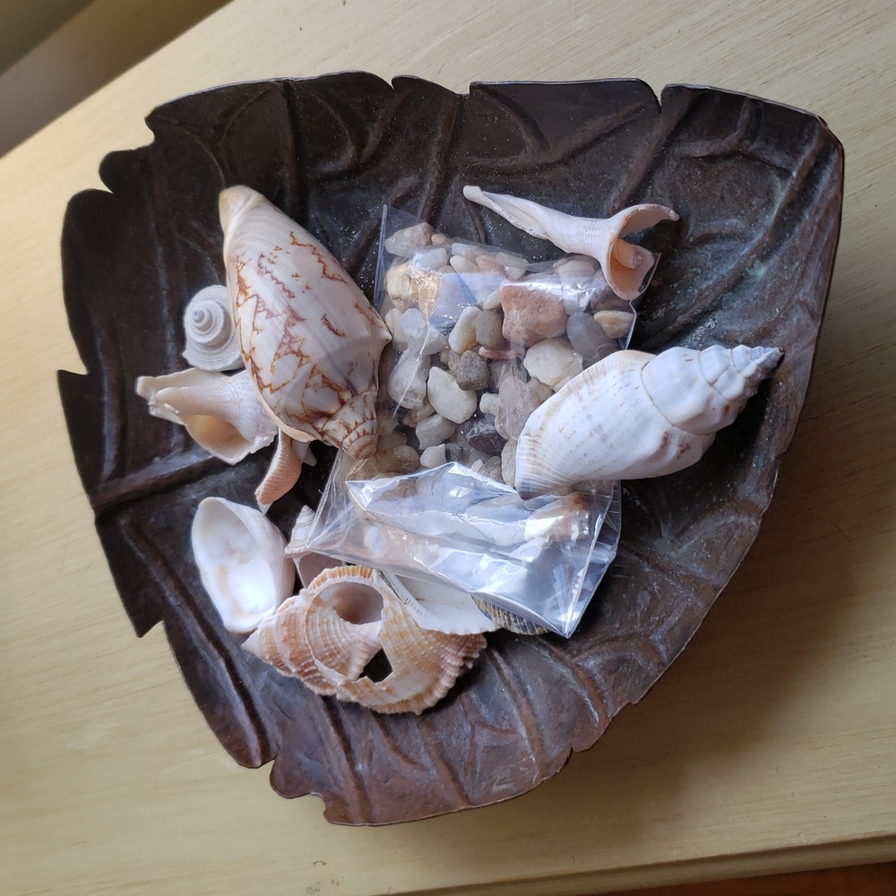 Leaf Tray And Natural Shells - Picture 3 of 4